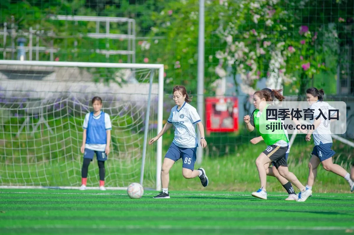 四季体育入口 场馆俯瞰